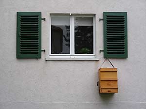 Bienenfalle an einem Fensterladen befestigt