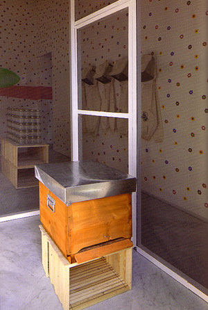 Bienenkasten mit Imkeranzügen