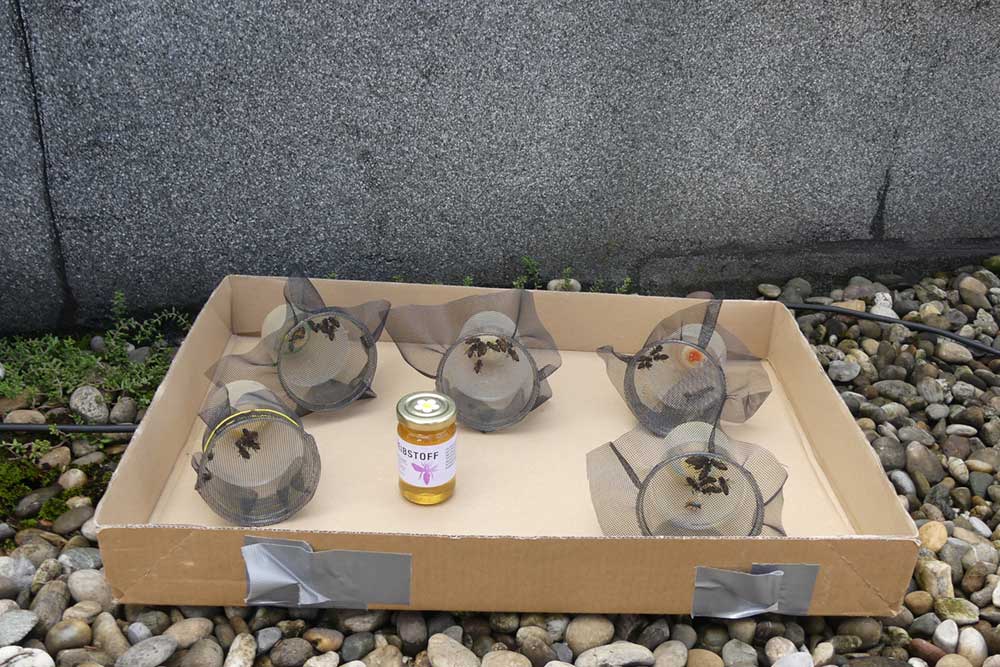 Transportbehälter mit Treibstoff